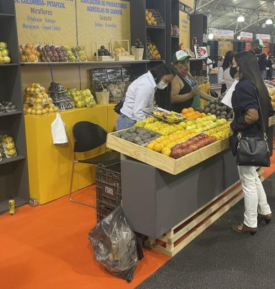 Agro Expo Cuspbel 2