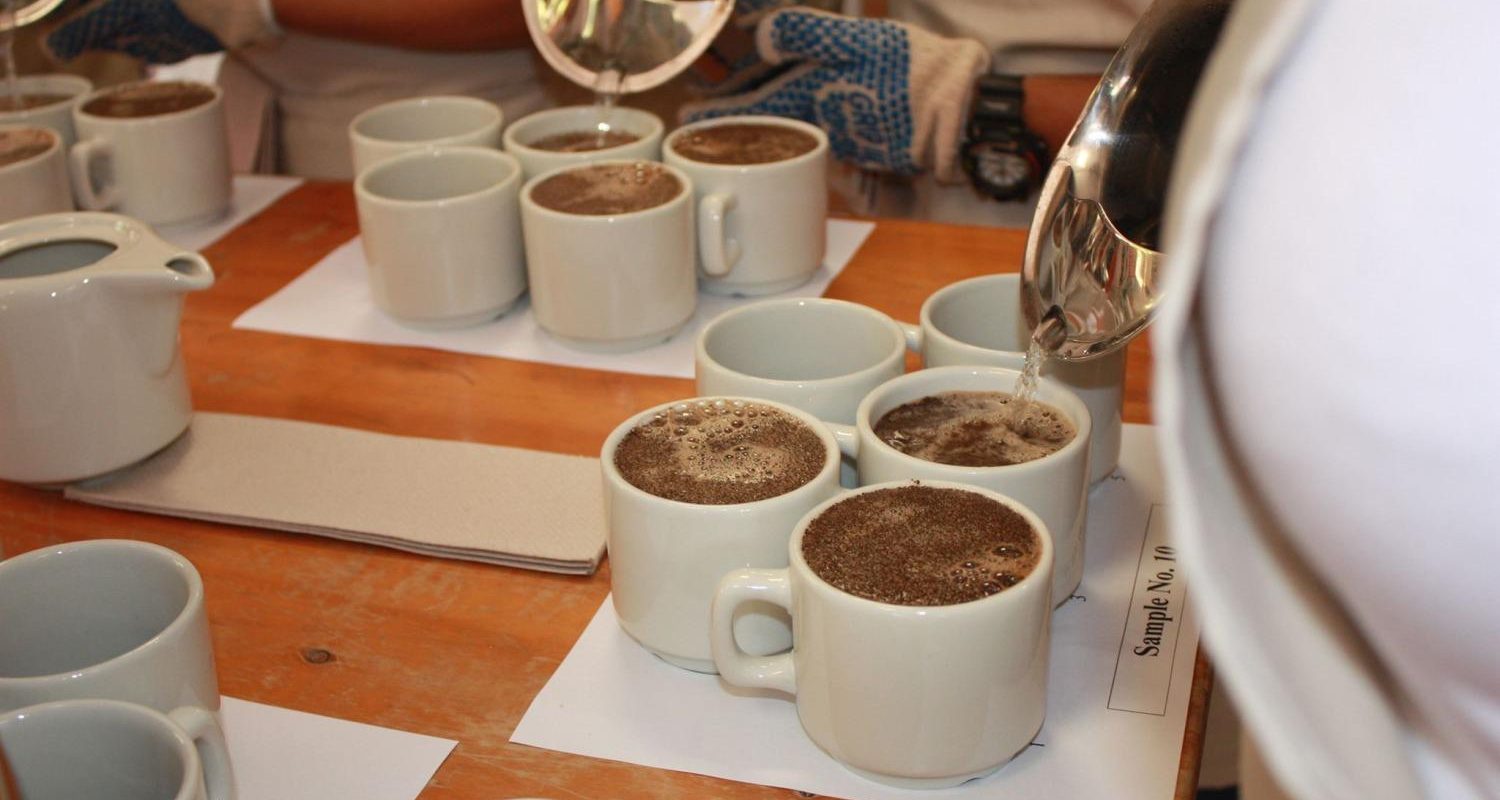 Cata de Cafe Cuspbel